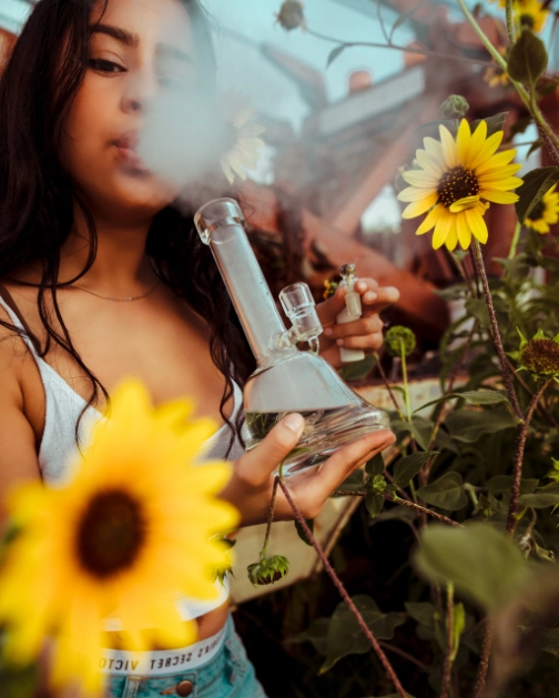 Woman using a bong amidst sunflowers